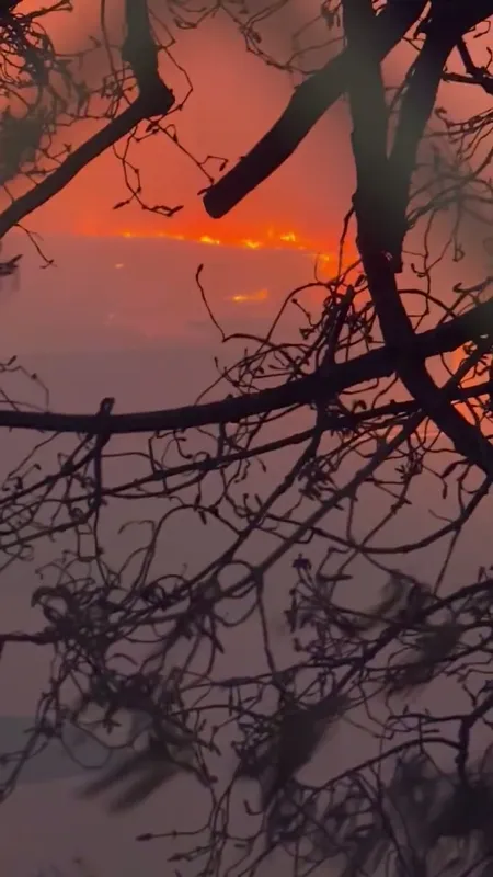 ssstwitter.com_1736460992238.mp4