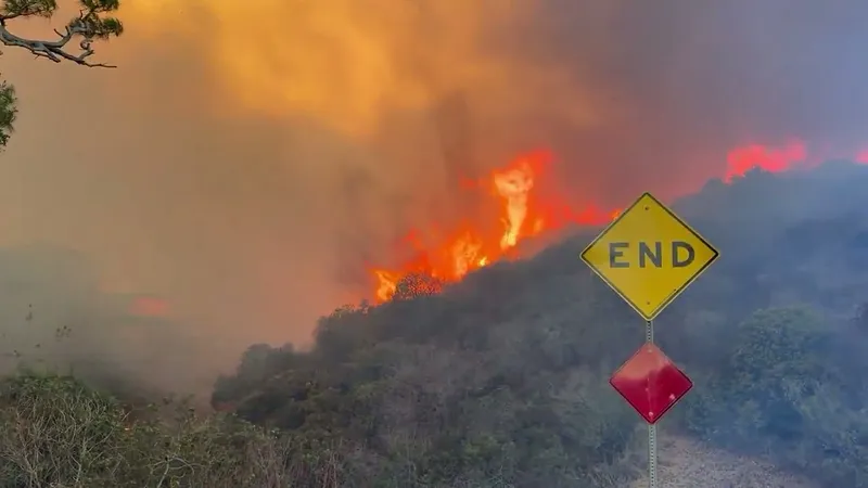 ssstwitter.com_1736320365534.mp4