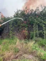 Video Jan 10 2025, 3 08 18 PM.mov