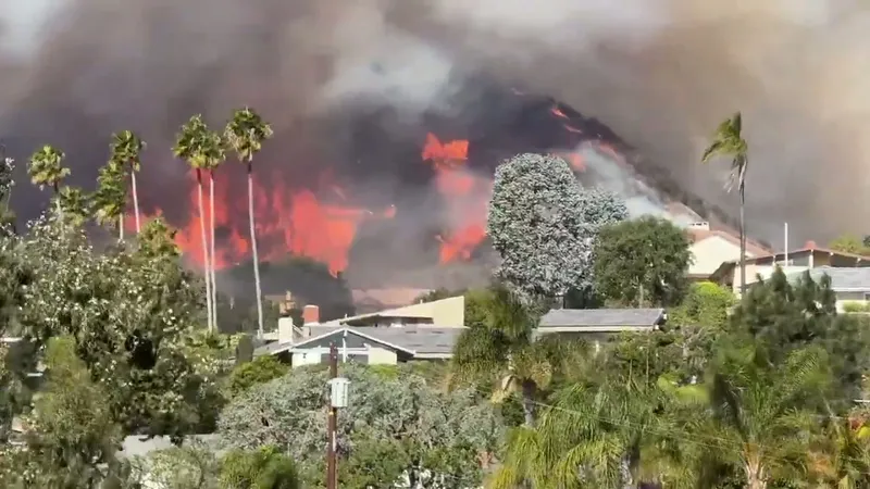 ssstwitter.com_1736307512263.mp4