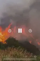 ssstwitter.com_1736725972895.mp4