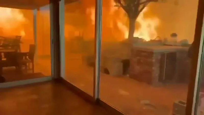 ssstwitter.com_1736310655655.mp4