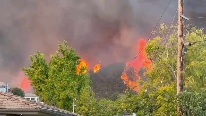 819c0848-5e9b-46c1-96e1-c21d940edfac.MP4