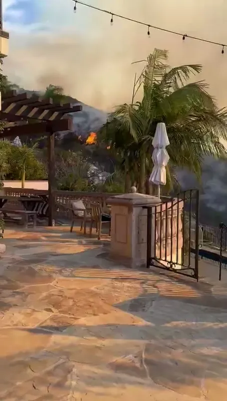 WhatsApp Video 2025-01-15 at 12.58.58.mp4