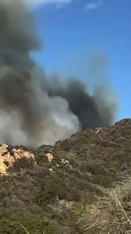 ssstwitter.com_1736729317575.mp4