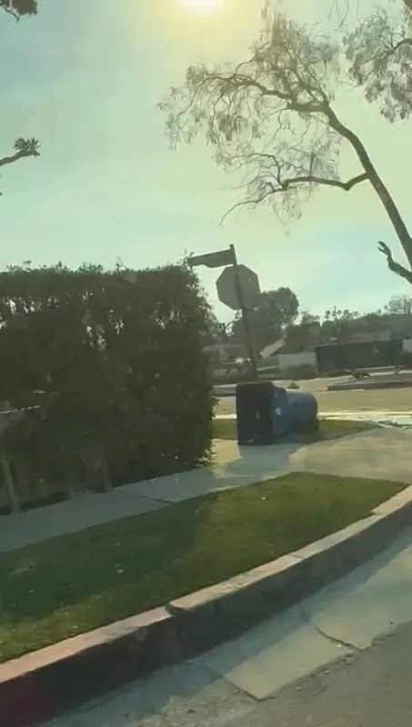 7260954d-81a6-4d02-b643-b337d9c51acf.MP4