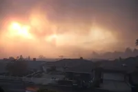 Photo Jan 10 2025, 5 31 45 PM (3).jpg